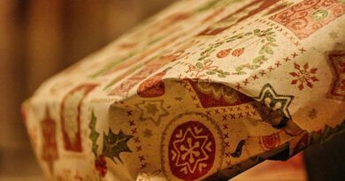 holiday gift guide
