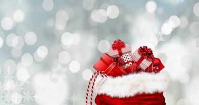 christmas gift guide