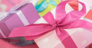 holiday gift