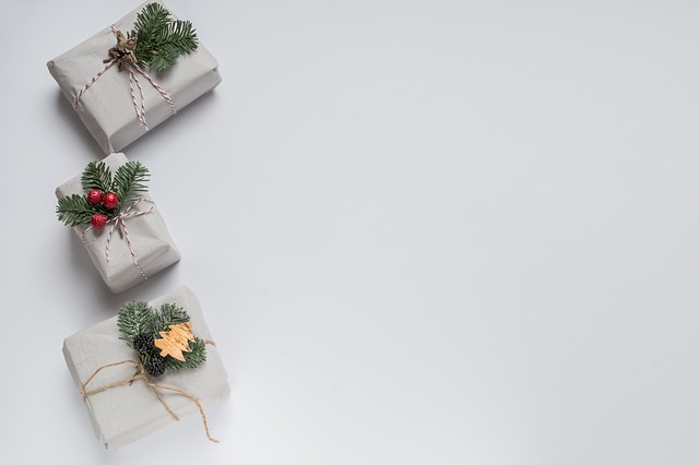 holiday gift guide