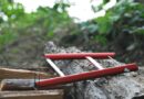 saw wood