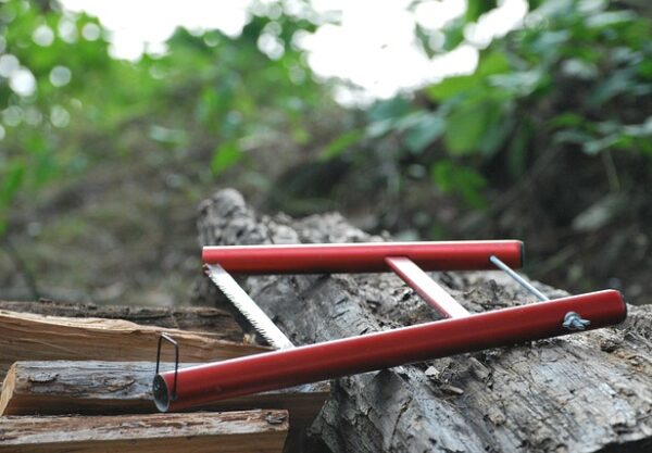 saw wood