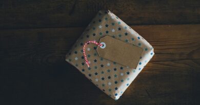 holiday gift guide