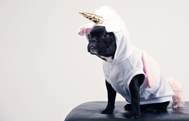 funny costumes