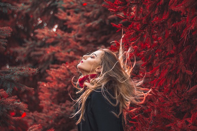autumn style guide