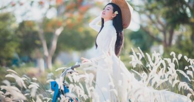 ao dai, asian, model, asian woman, young woman, female, dress, long dress, traditional dress, modeling, pose, posing, fashion, style, stylish, girl, portrait, traditional costume, vietnam, vietnamese, woman, hairstyle, ao dai, ao dai, ao dai, ao dai, ao dai, asian woman, asian woman, dress, dress, dress, dress, long dress, vietnam