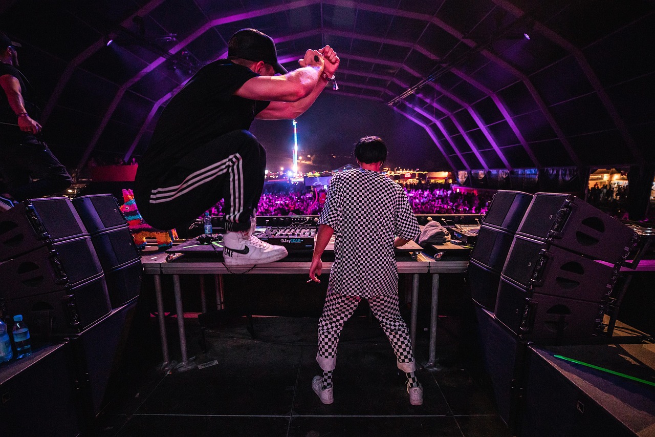 dj, artist, performer, concert, rave, fun, music festival, rave, rave, rave, rave, rave