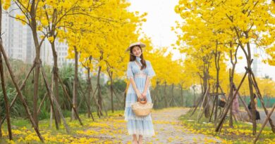 woman, model, park, trees, leaves, foliage, nature, flora, style, fashion