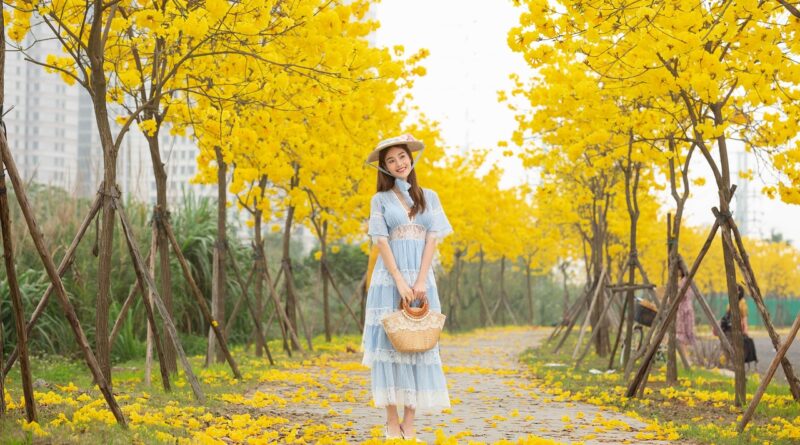 woman, model, park, trees, leaves, foliage, nature, flora, style, fashion
