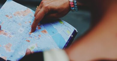 map, tourism, lost, direction, guide, tourist guide, travel, traveler, world, world map, holiday, paper, view, planning, details, style, woman, europe