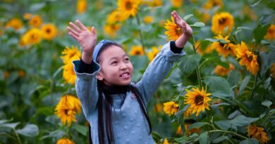 child, girl, nature, flower background, sunflowers, flowers, plants, field, flower wallpaper, cute, kid, young, childhood, outdoors, outfit, style, beautiful flowers, fashion, asian, portrait