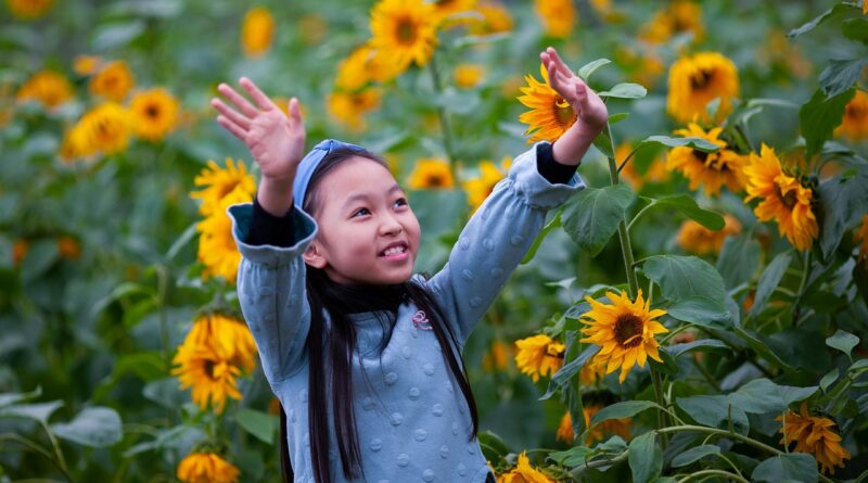 child, girl, nature, flower background, sunflowers, flowers, plants, field, flower wallpaper, cute, kid, young, childhood, outdoors, outfit, style, beautiful flowers, fashion, asian, portrait