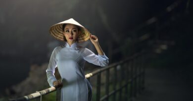 woman, model, portrait, pose, dress, style, fashion, posing, young woman, girl, modeling, female, woman portrait, asian, hat, vietnamese, woman, model, portrait, dress, fashion, fashion, fashion, fashion, fashion, girl, asian, asian, vietnamese