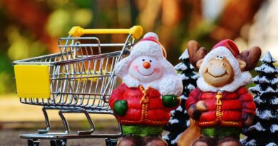online shopping, shopping venture, christmas, shopping, purchasing, sweets, shopping cart, trolley, grocery list, food, list, shopping trolleys, supermarket, transport, shopping basket, bikes, metal, business, online, order, christmas shopping, fun, online shopping, online shopping, christmas shopping, christmas shopping, christmas shopping, christmas shopping, christmas shopping