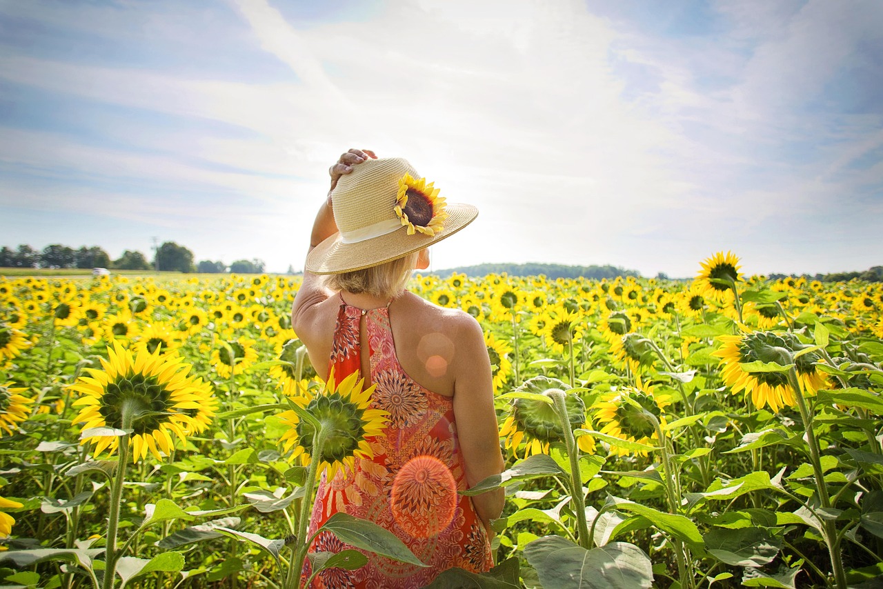 woman, sunflowers, nature, flower wallpaper, field, summer, blossom, flower background, bloom, beautiful flowers, flowers, beauty, female, girl, outdoors, leisure, travel, season