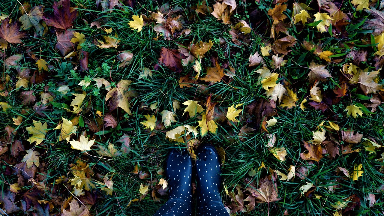 fall, leaves, autumn, season, outdoors, travel, nature, forest, woods, rubber boots, grass, fashion