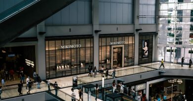 shopping mall, shopping center, mall, crowd, shopping mall, shopping mall, shopping mall, shopping mall, mall, mall, mall, mall, mall