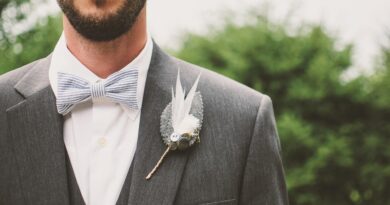 groom, beard, bow tie, brooch, fashion, formal, formal coat, guy, man, suit, wear, wedding, style, stylish, men's fashion, bearded man, groom, groom, groom, suit, suit, suit, suit, suit