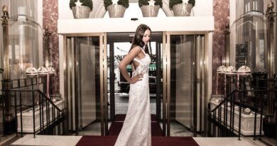 wedding dress, bride, marriage, woman, girl, model, dress, fashion, trendy, party outfit, sparkling, outfits, stylish, dazzling, brown fashion, brown wedding, brown model, brown party, wedding dress, wedding dress, wedding dress, wedding dress, wedding dress