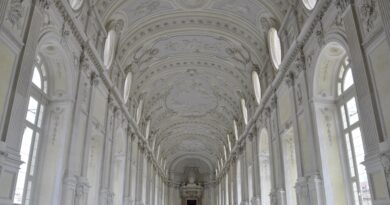 great gallery, monument, architecture, construction, venaria reale, gallery, palazzo, building, royal palace, construction, construction, construction, construction, gallery, gallery, gallery, gallery, gallery, royal palace, royal palace