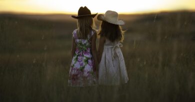 sisters, summer, children, girls, childhood, siblings, holding hands, hats, dusk, outdoors, fields, rural, nature, countryside, dresses