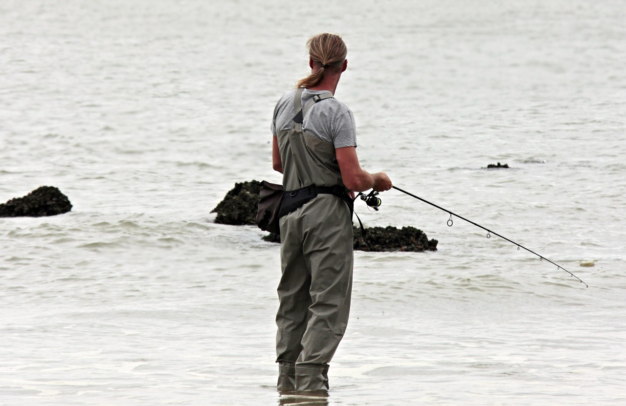 angler, fishing, nature, north sea, waters, fisherman, sea, beach, leisure time, water, sports, coast, recreational sports, fishing rod, angler pants