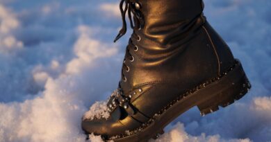 shoe, boot, footwear, nature, ices, frost, snow, winter