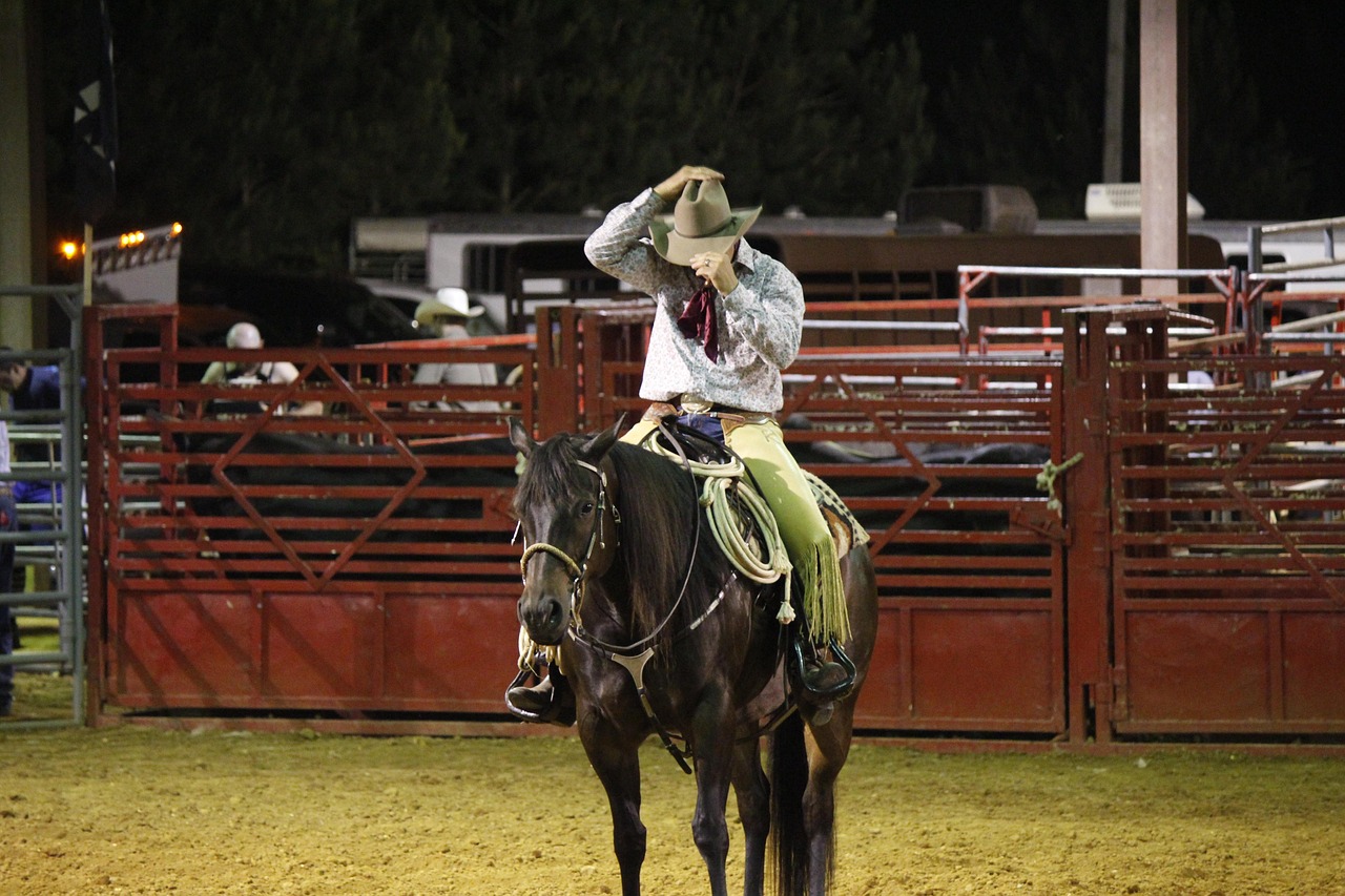 cowboy, rodeo, nature, horse, hat