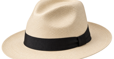 hat, straw hat, panama hat, fashion, accessory, clothing, summer, style, elegance, nature, man, wide brim, summer wear, casual, felt hat, retro, millinery, black band, apparel, classic, hat industry
