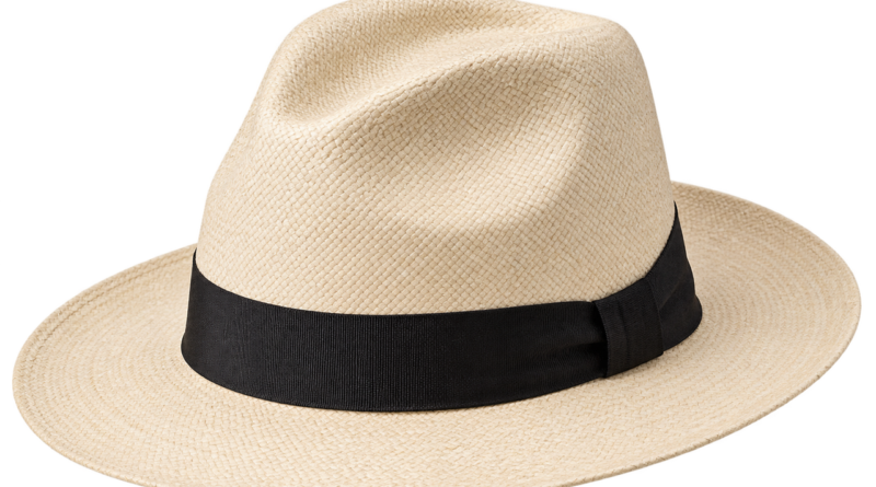hat, straw hat, panama hat, fashion, accessory, clothing, summer, style, elegance, nature, man, wide brim, summer wear, casual, felt hat, retro, millinery, black band, apparel, classic, hat industry