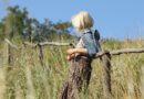 young woman, meadow, grass, nature, wooden fence, summer, cottagecore, blonde, outdoors, countryside, summer, summer, summer, cottagecore, cottagecore, cottagecore, cottagecore, cottagecore, countryside