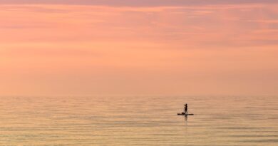 sea, paddle boarding, sunset, horizon, dusk, paddle, stand-up paddling, sup, sports, nature, trend sport, evening atmosphere, stand up paddling, recreation, athletes, quiet, meditation