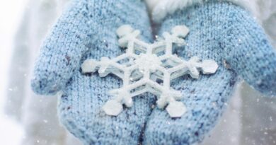 snowflake, winter, season, mittens, christmas, xmas, holiday, snowfall, celebration, seasonal, frozen, christmas wallpaper, snowflake, snowflake, snowflake, winter, christmas, christmas, christmas, christmas, christmas