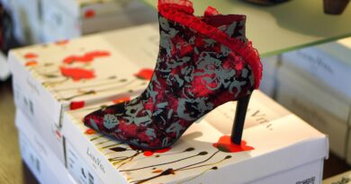 shoe, fashion, high heels, stiletto heels, hochhackig, clothing