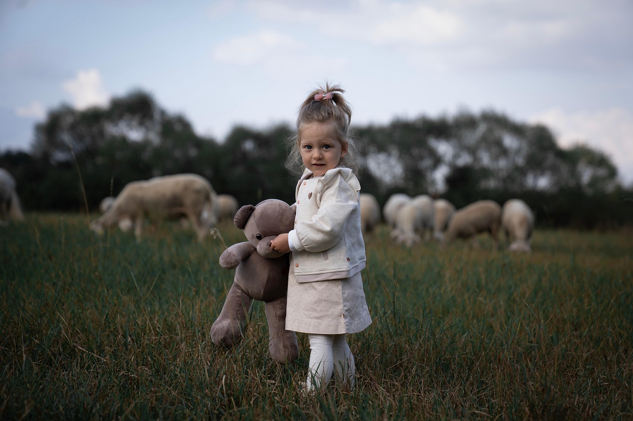child, sheep, nature, love, girl, photooftheday, picoftheday, cute, happy, hapiness, peaceful, followme, instagood, instagram, pixabay, toy, camera, trend, landscape, sky, animal, kosovo, photography, viral, autumn