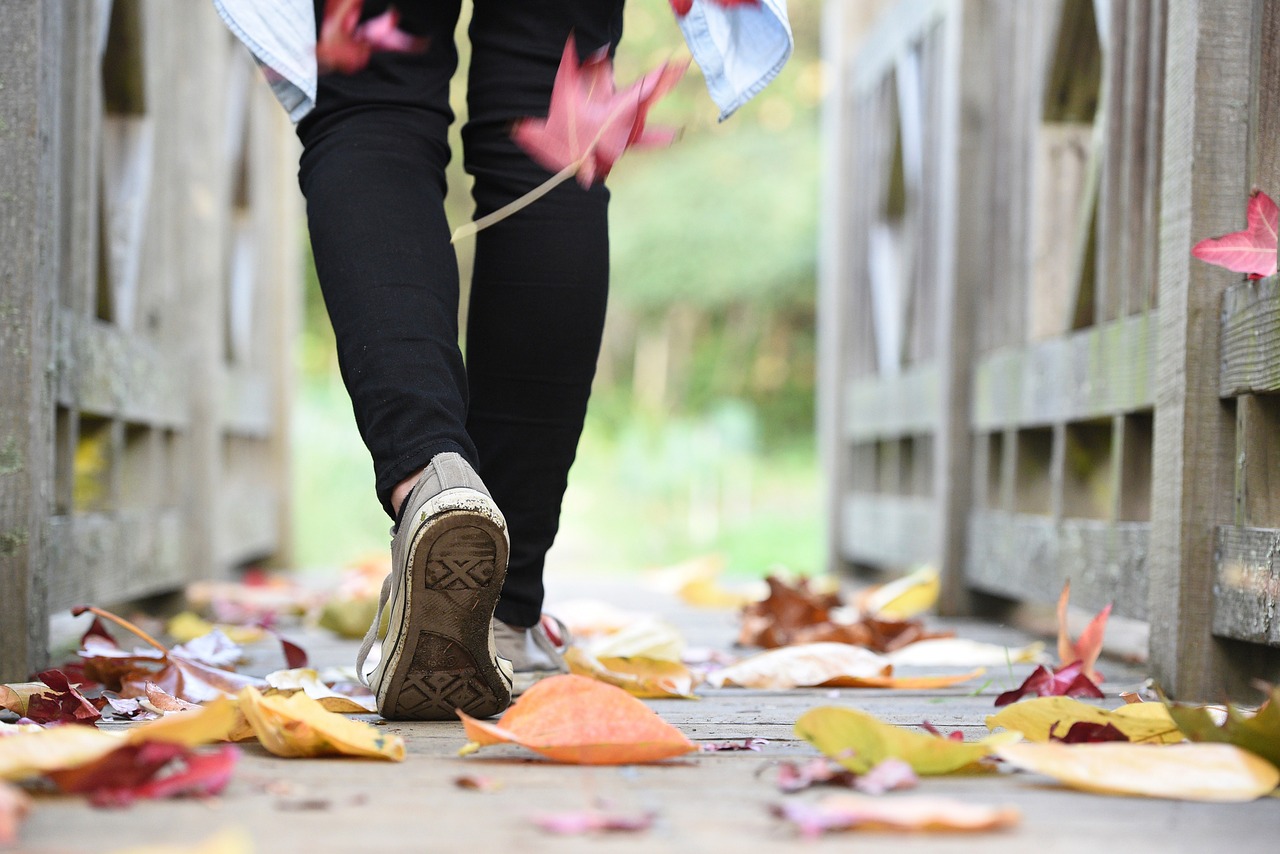 leaf, fall, autumn, walking, shoe, jeans, nature, travel, alley