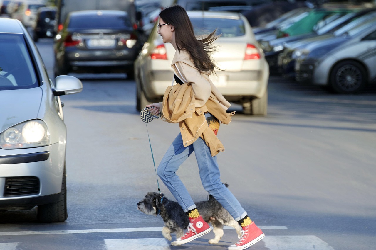 girl, child, teenager, animal, dog, pet, small, leash, running, pedestrians, street, cars, traffic, urban, city, crossing, clothes, hurry, snapshot, street photography