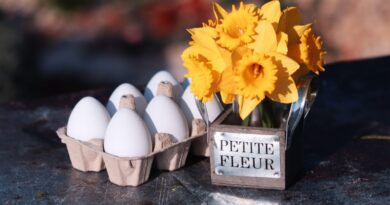 spring still life, yellow daffodils, easter decoration, white eggs, rustic table, flower bouquet, fresh flowers, easter theme, springtime vibes, petite fleur, country style, floral centerpiece, egg carton, seasonal decor, easter morning, nature beauty, floral art, blooming flowers, holiday arrangement, spring celebration, cheerful scene, pastel flowers, daffodil bouquet, symbolic rebirth, farm to table