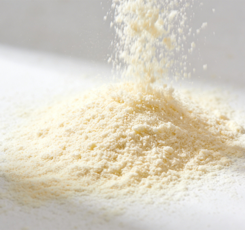 Dairy Powder Import Planning Guide